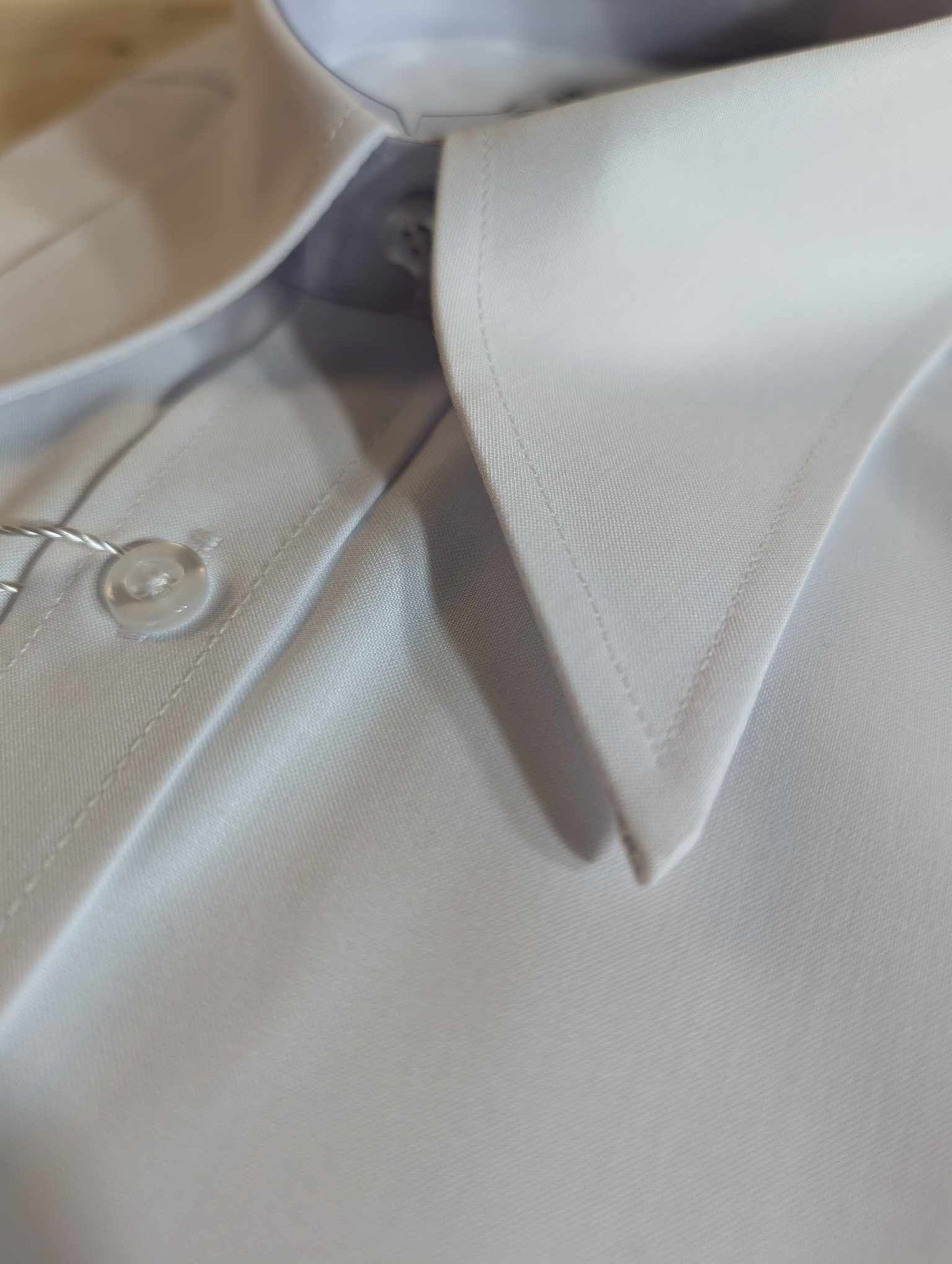 Cotton blend point collar shirt