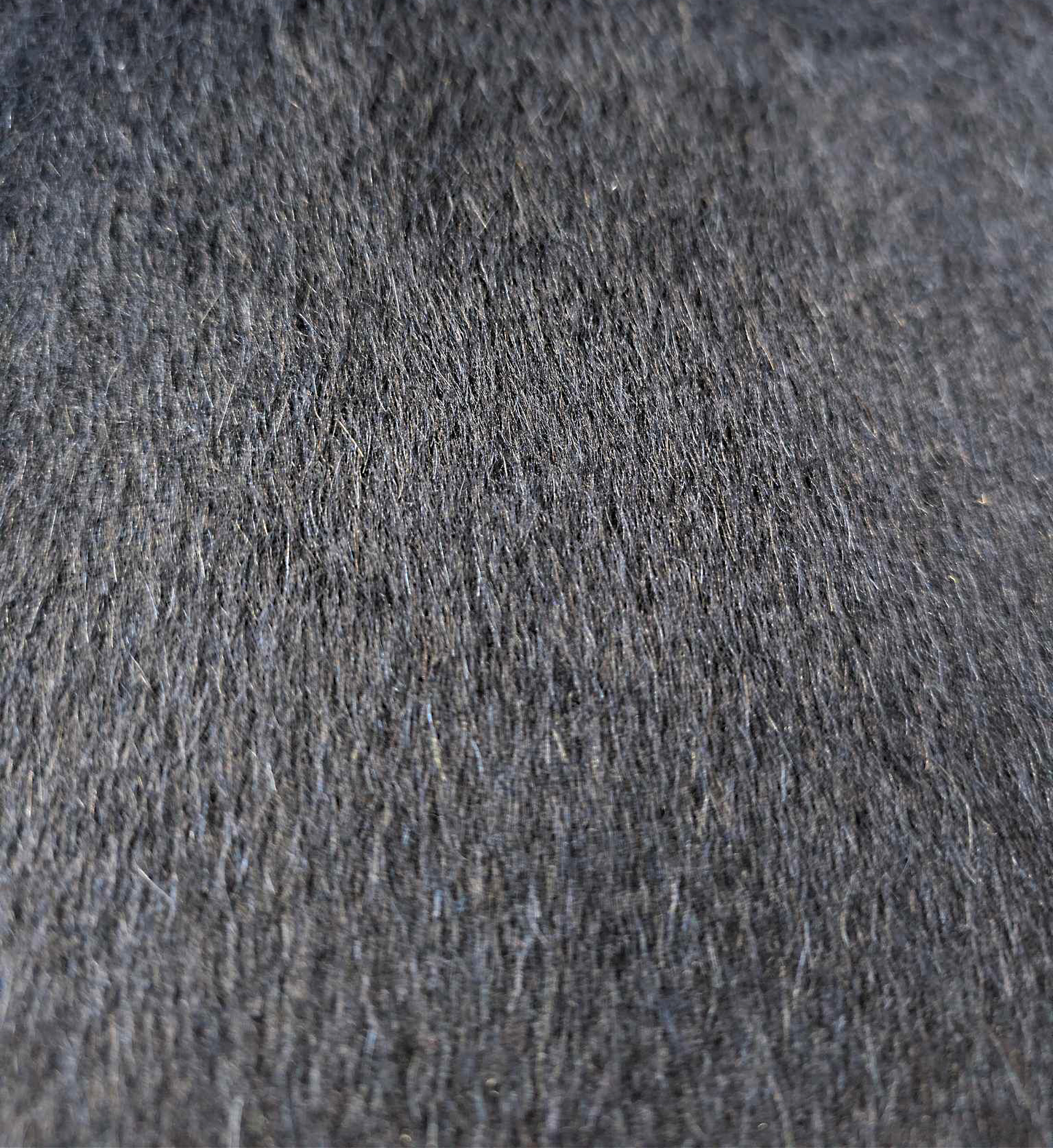 Laine/Alpaga Bleu Marine